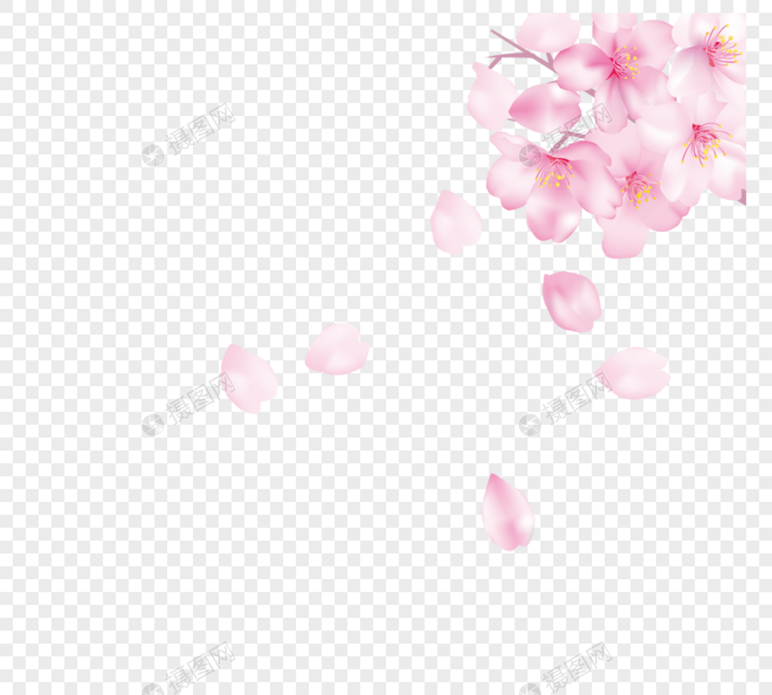 粉色樱花落元素图片