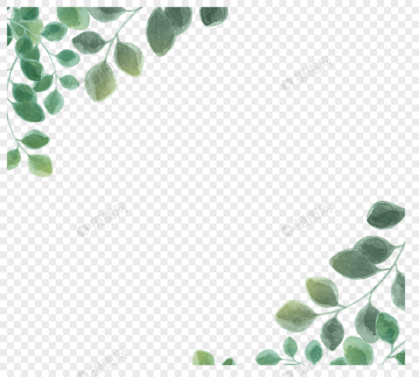 绿色简单桉树叶边框图片
