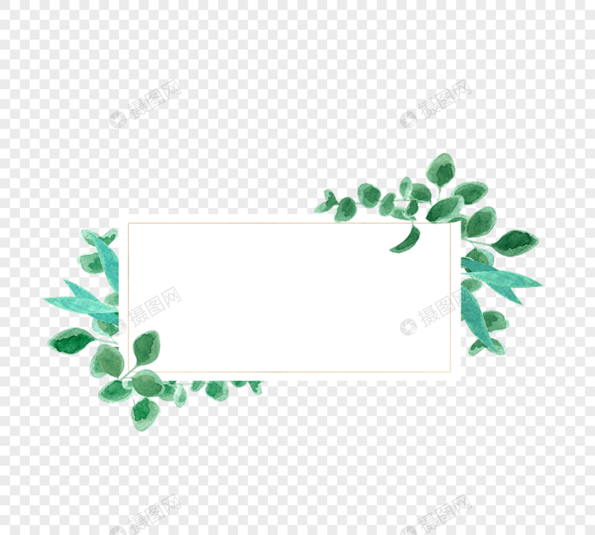 绿色小提神桉树叶矩形边框图片
