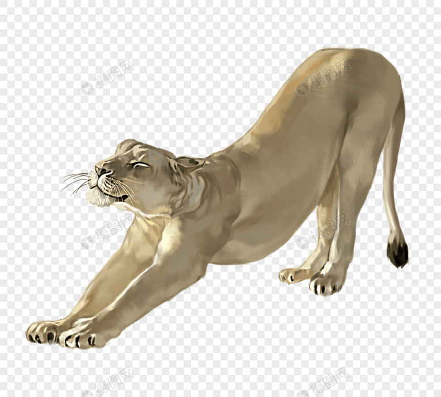 手绘母狮伸展和躺姿狮子王元素图片