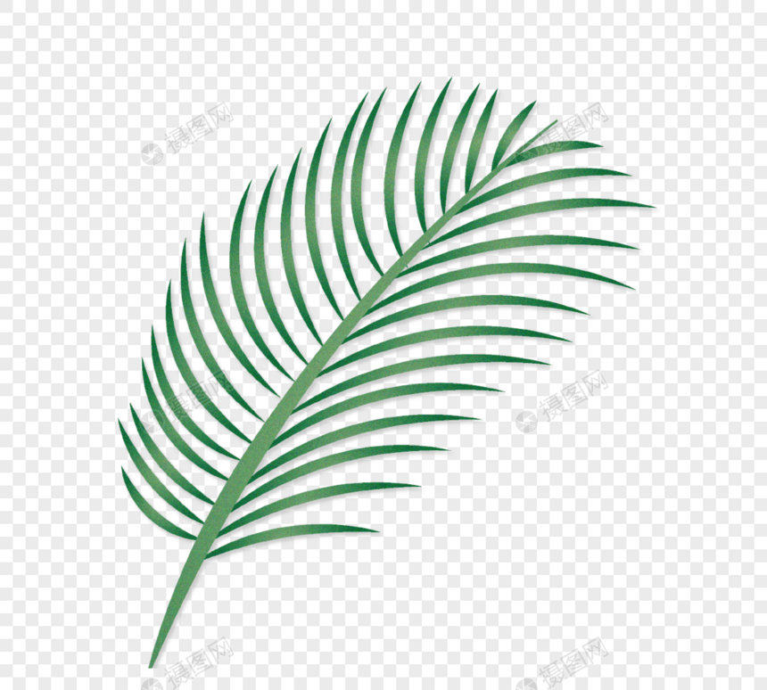 卡通绿色热带棕榈树叶图片