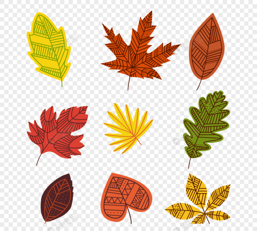 平面线条手绘创意秋季落叶图片