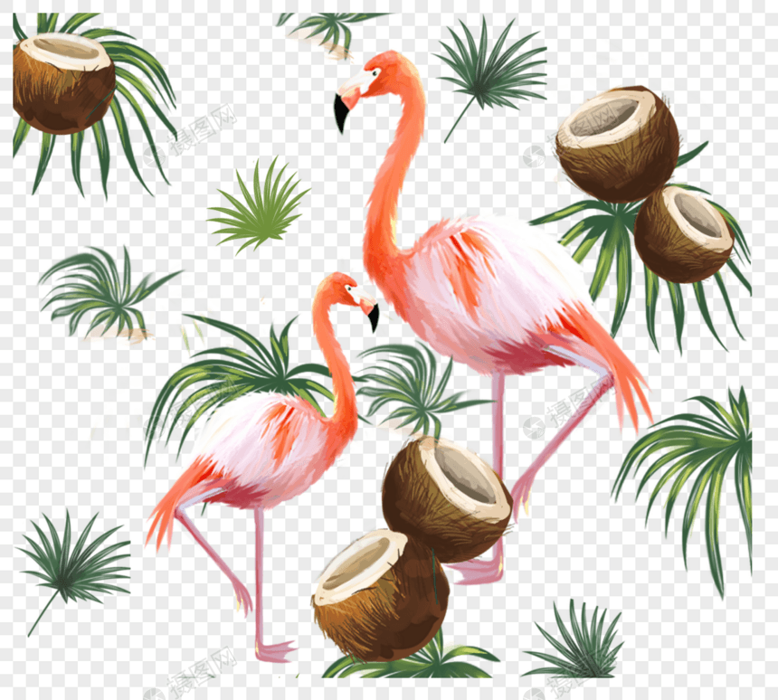 手绘叶子椰子火烈鸟元素图片