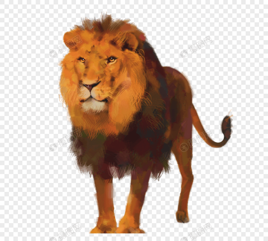 森林之王狮子元素图片