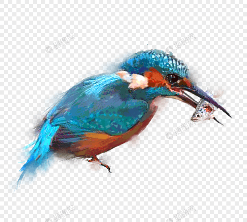 彩色捕鱼尖嘴鸟手绘元素图片