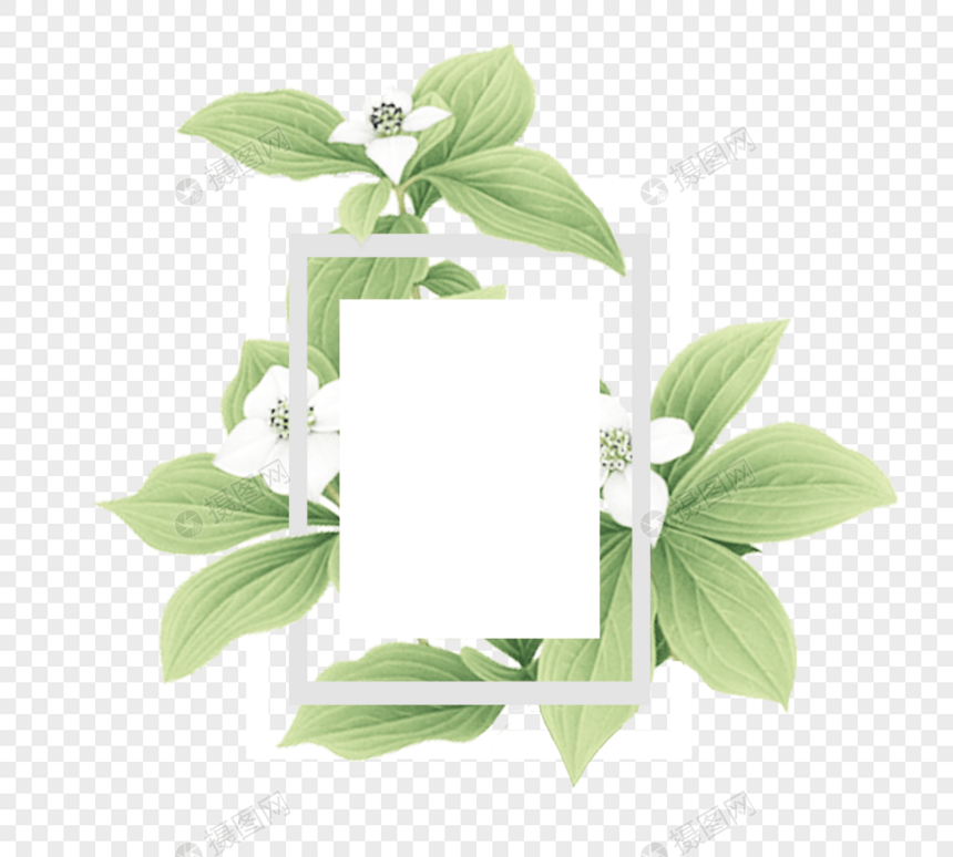 简单天然绿叶花几何框架图片