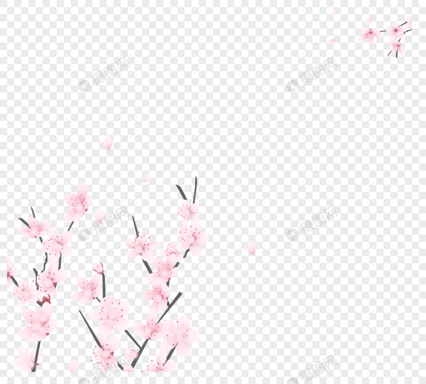 粉红色白鲱鱼浪漫樱桃花瓣手褪色框架图片