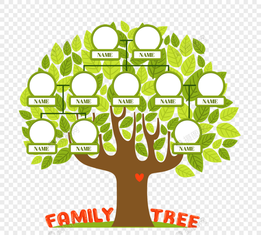 手绘绿色家庭树家庭关系叶图片