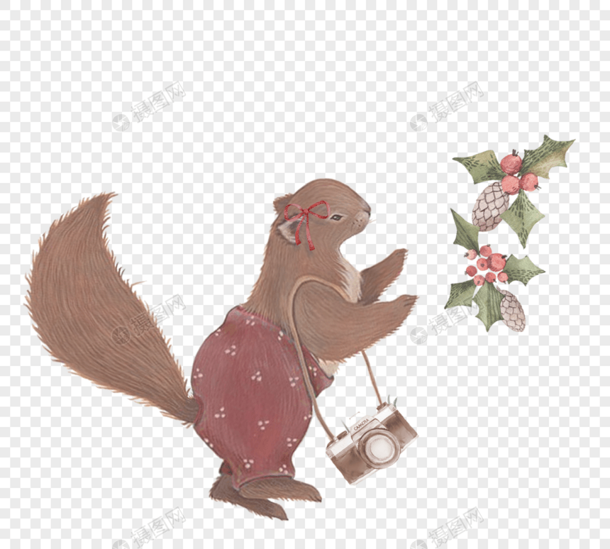 松鼠相机植物圣诞节卡通手绘元素图片