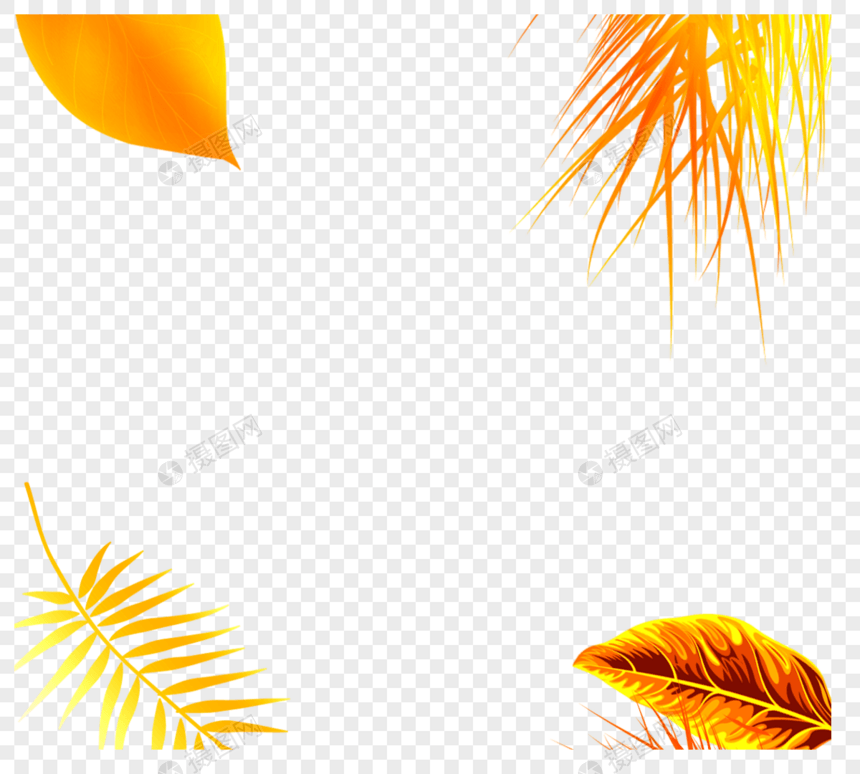 金色热带植物几何边框图片