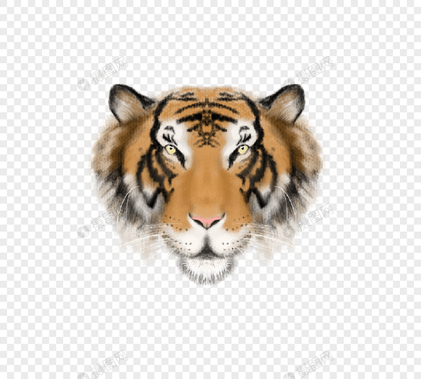 老虎头像手绘元素动物图片