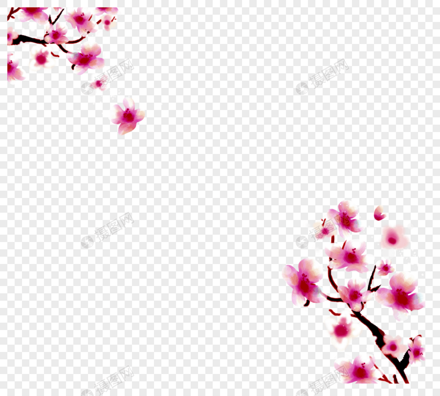 樱花花分支框架图片