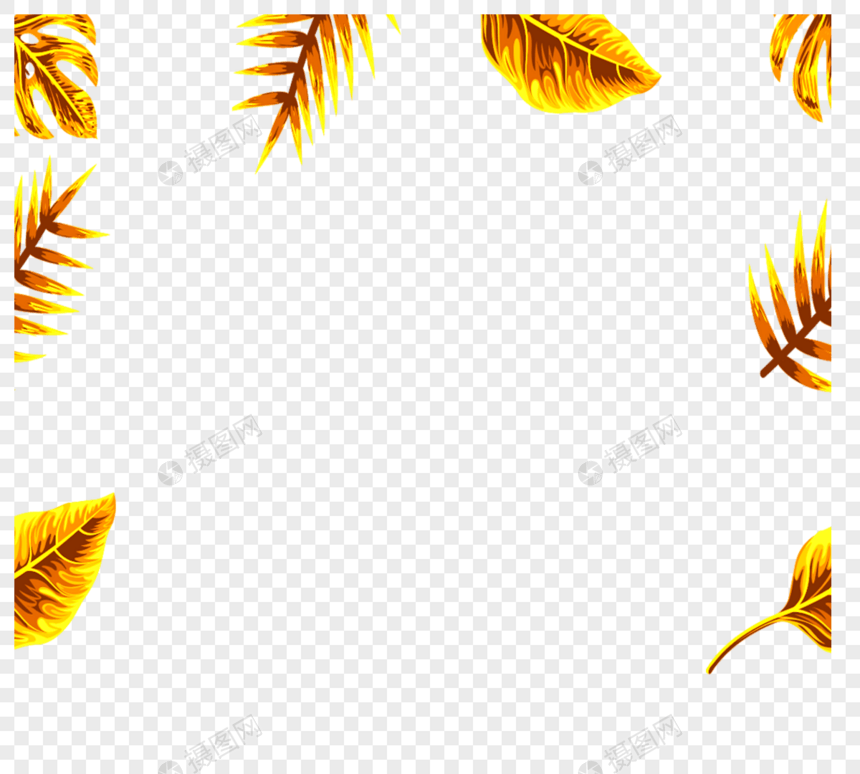 金色热带植物几何边框图片