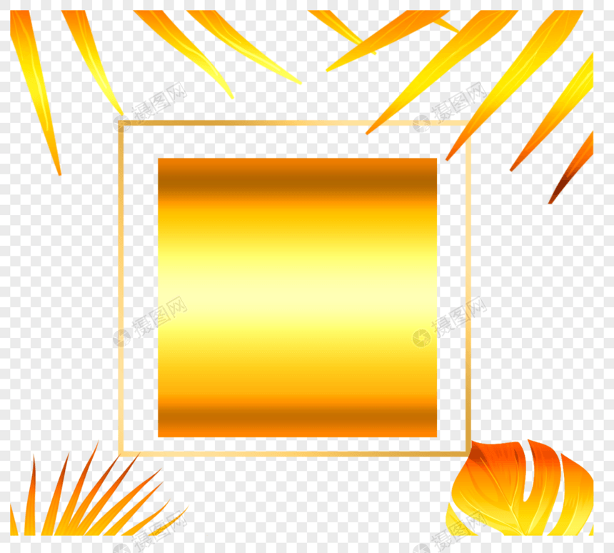 金色热带亮光植物几何边框图片