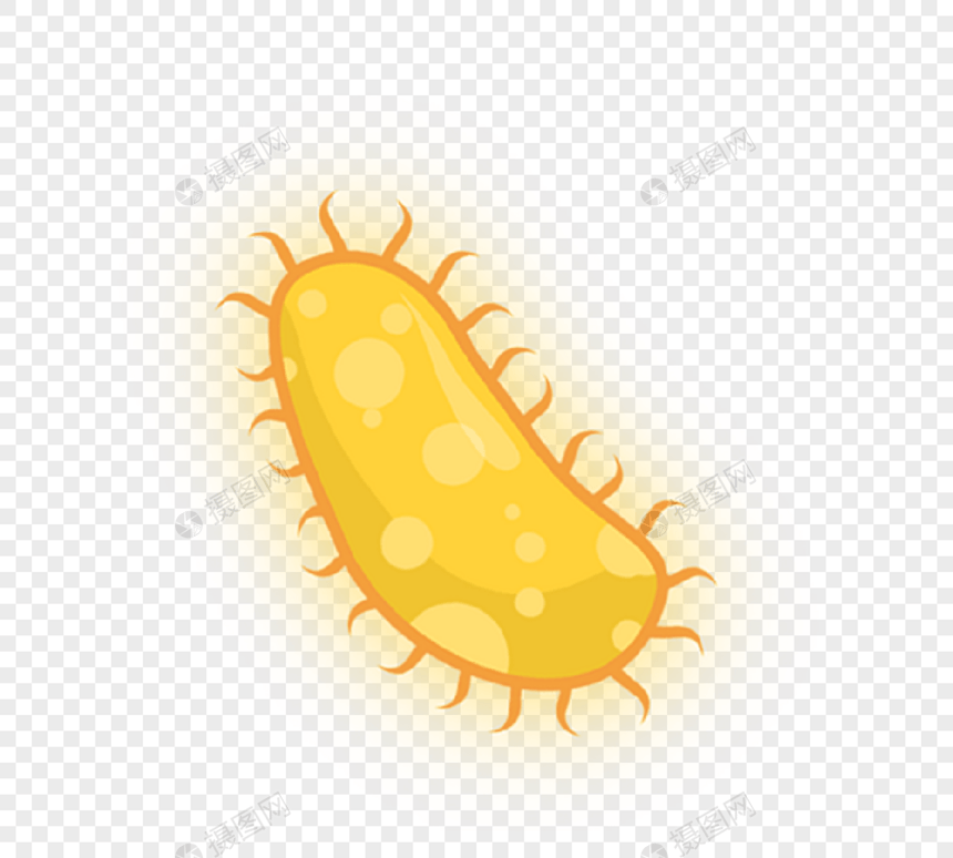 黄色条状病毒病菌细菌图片