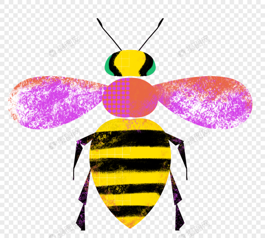 彩色翅膀蜜蜂图片