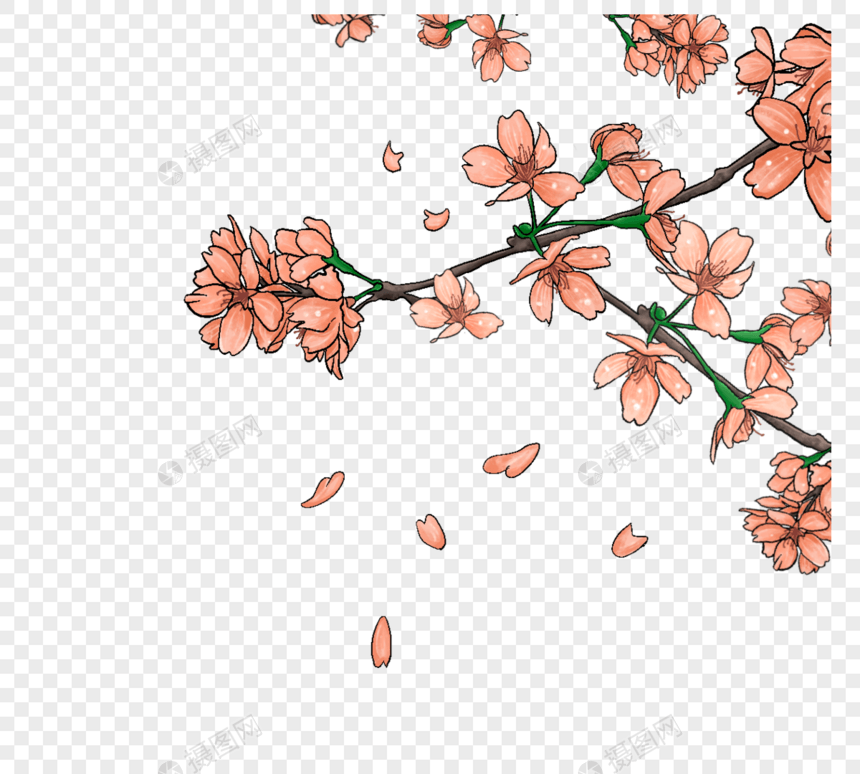 手绘粉色飘舞樱花图片