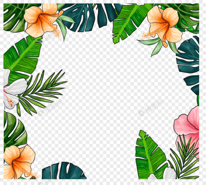 手绘热带树叶边框图片