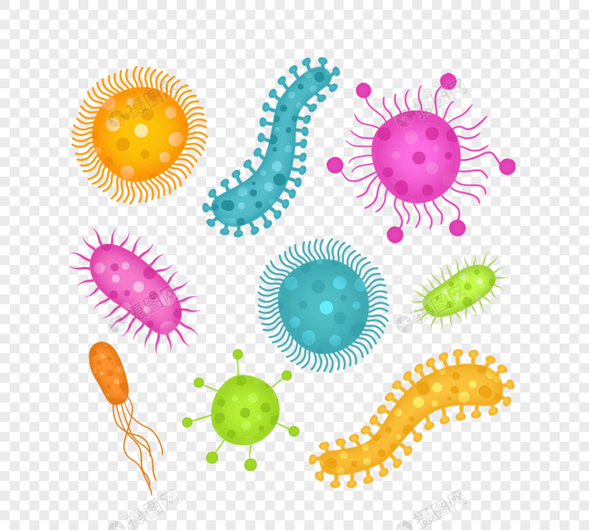 细菌病毒微生物冠狀病毒感染插图图片