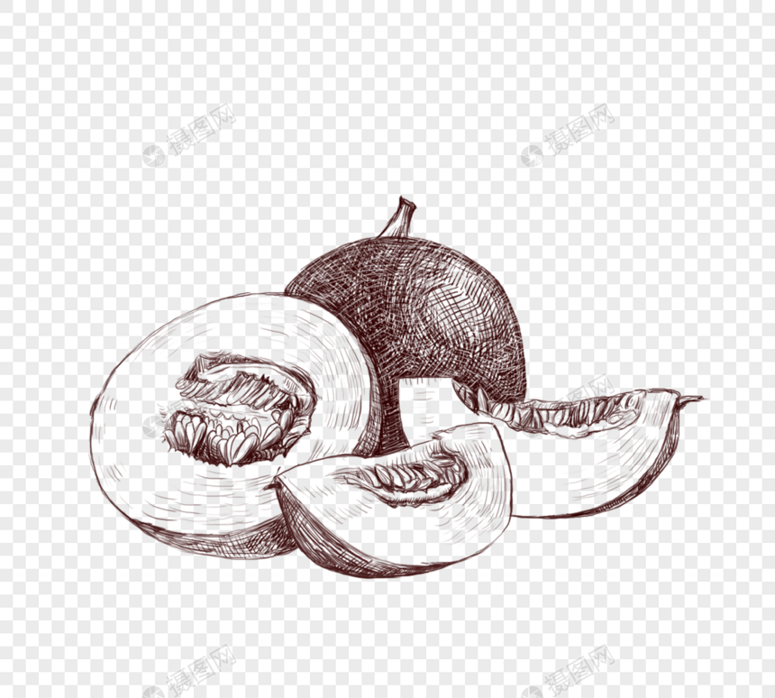 季节性水果哈密瓜线描图片