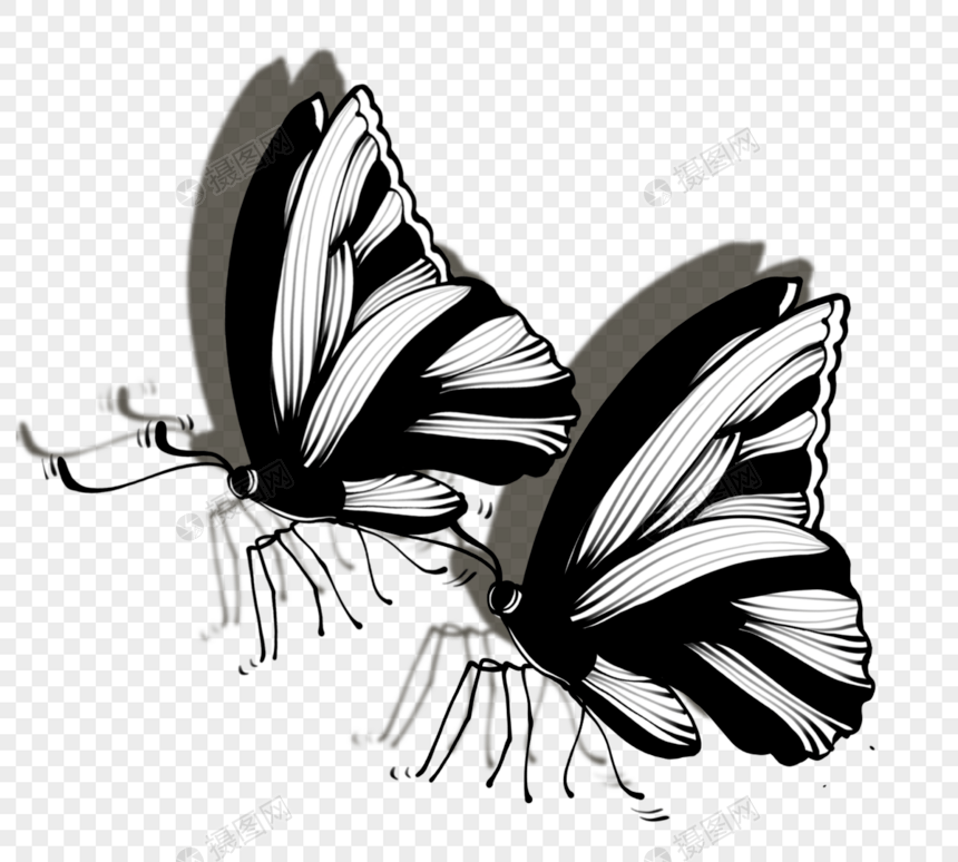 黑白手绘蝴蝶线稿图片
