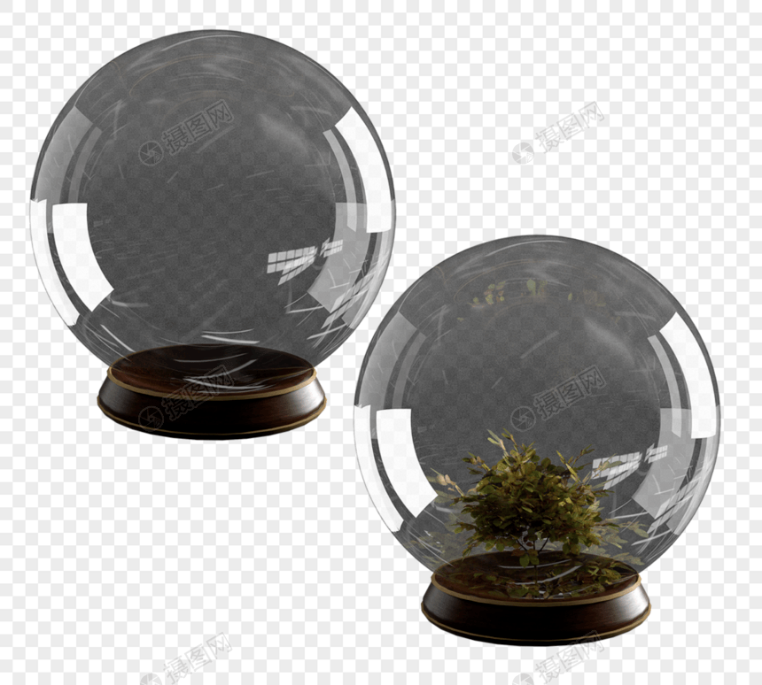 透明工艺植物玻璃球图片