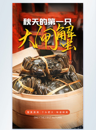 清蒸鳊鱼秋天第一只大闸蟹摄影图海报模板