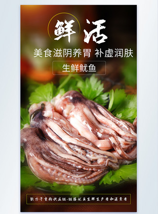 海产品加工生鲜鱿鱼海鲜生鲜摄影海报模板