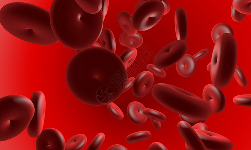 血红细胞图片