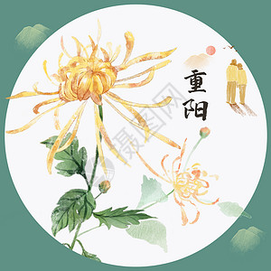 重阳节中国风装饰插画背景图片