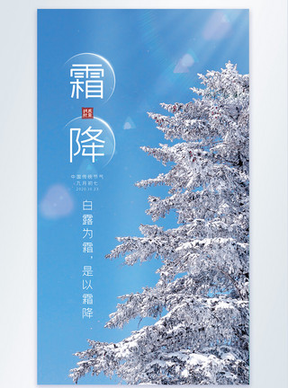 落雪的树枝二十四节气之霜降节日摄影图海报模板