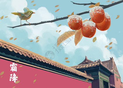 霜降故宫枝头的柿子和小鸟节气插画高清图片