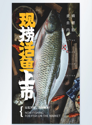 杀活鱼现捞活鱼上市摄影图海报模板
