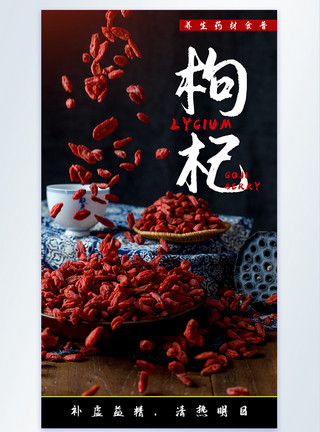 野生食材枸杞养生食材摄影海报模板