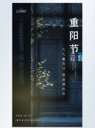 家摄影重阳节中国风摄影图海报模板