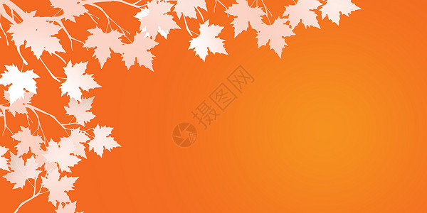 感恩节枫叶背景秋天高清图片素材