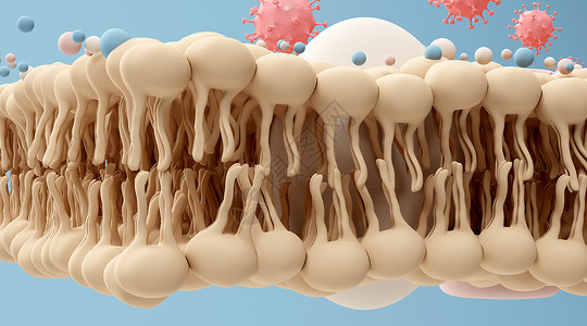 脂肪细胞3D脂肪蛋白质场景设计图片