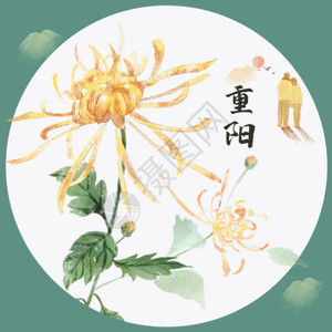水彩风格重阳节中国风装饰插画GIF高清图片