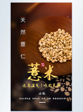 中药薏仁五谷杂粮薏米食材摄影海报模板