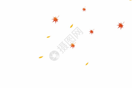 落叶木板秋天的落叶GIF高清图片