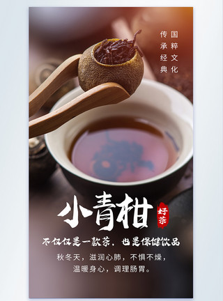 小青柑茶叶摄影海报模板
