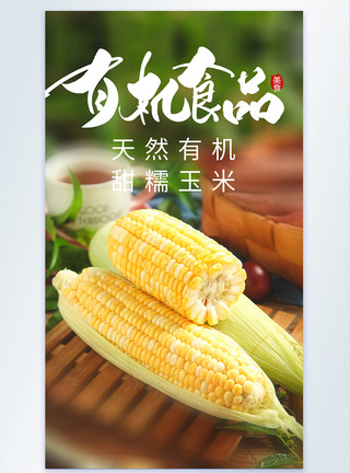 玉米播种有机食品绿色食品有机玉米食材摄影海报模板