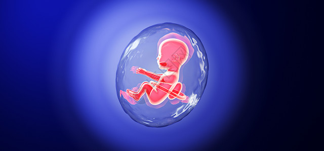 新生儿脐带C4D生命孕育场景设计图片