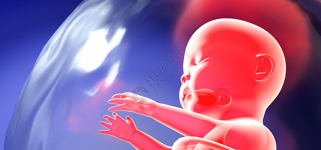 新生儿脐带C4D生命孕育场景设计图片