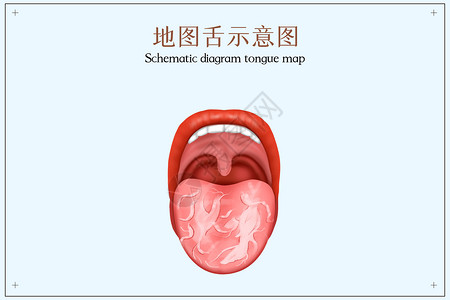 花展示地图舌示口腔医学配图插画