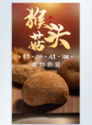 红果刺猬猴头菇药材食材摄影海报模板