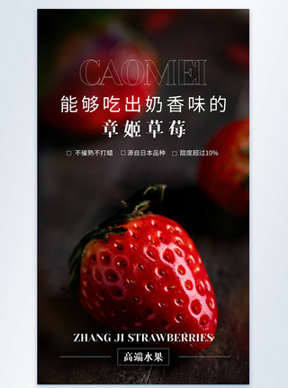 合同章章姬草莓美食摄影图海报模板