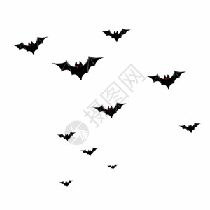 飞翔的蝙蝠蝙蝠gif动图高清图片