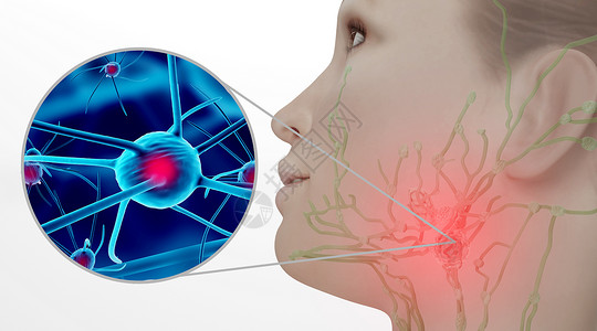 面部肌肉人体淋巴肿大场景设计图片