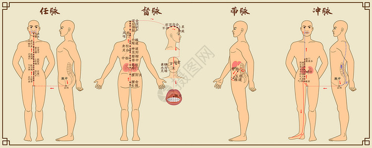 养生经络奇经八脉中医经络图一插画